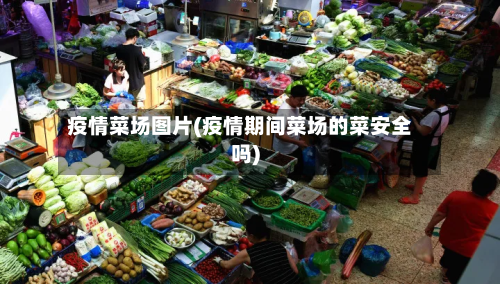 疫情菜场图片(疫情期间菜场的菜安全吗)-第2张图片