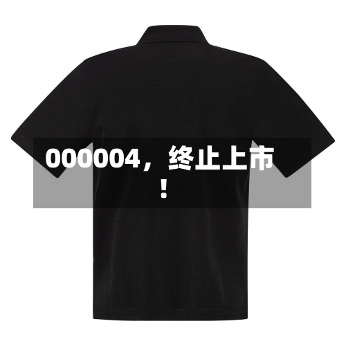 000004，终止上市！-第2张图片