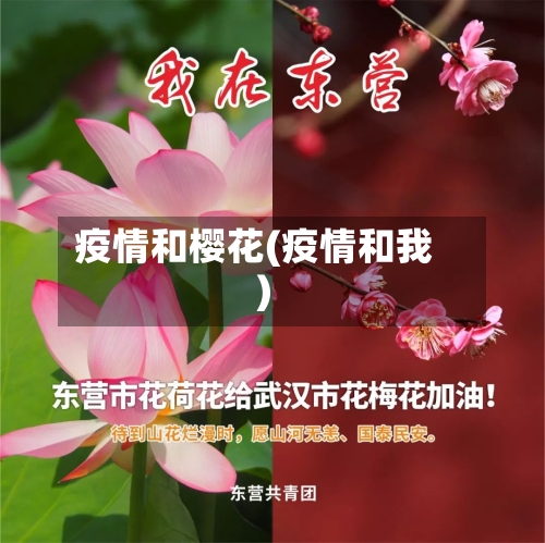 疫情和樱花(疫情和我)-第2张图片