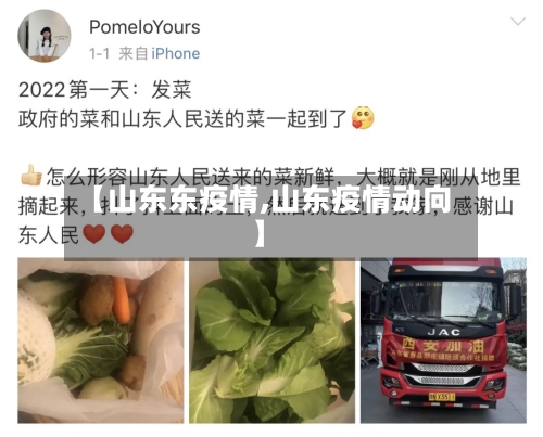 【山东东疫情,山东疫情动向】
