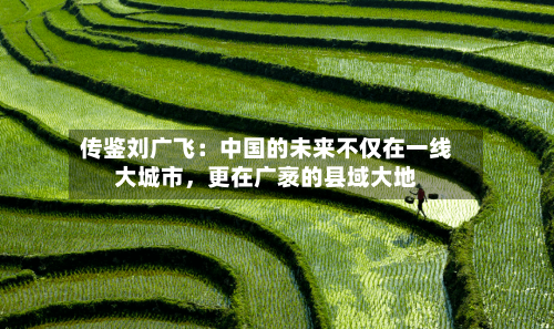 传鉴刘广飞：中国的未来不仅在一线大城市，更在广袤的县域大地