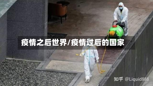 疫情之后世界/疫情过后的国家-第3张图片