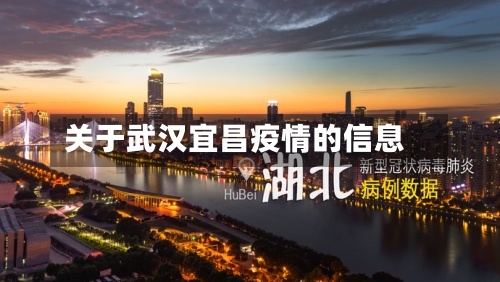 关于武汉宜昌疫情的信息