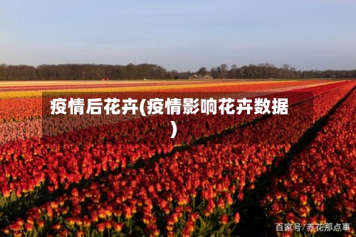 疫情后花卉(疫情影响花卉数据)-第3张图片