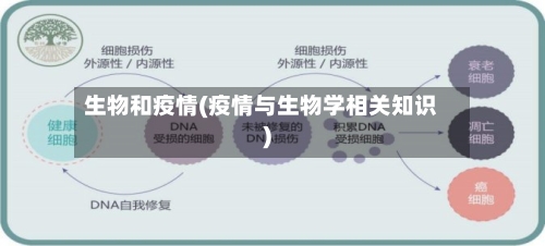 生物和疫情(疫情与生物学相关知识)