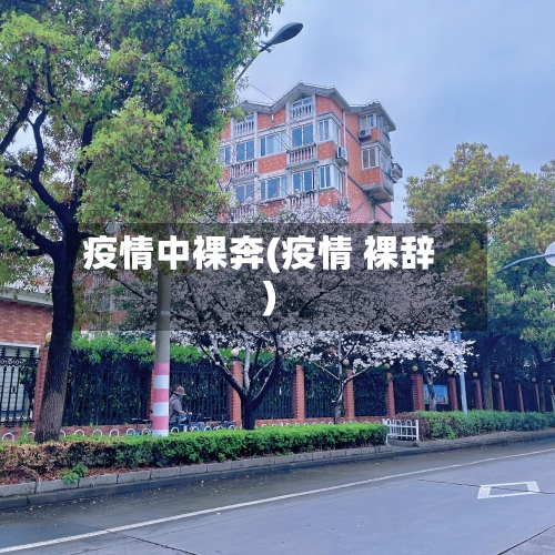 疫情中裸奔(疫情 裸辞)-第3张图片