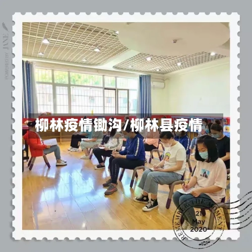 柳林疫情锄沟/柳林县疫情