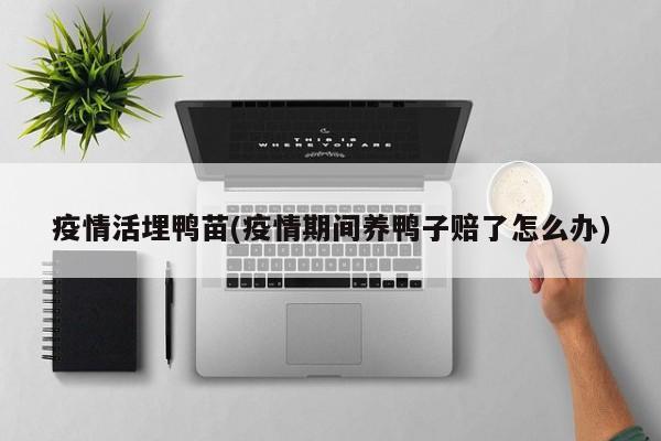 疫情活埋鸭苗(疫情期间养鸭子赔了怎么办)